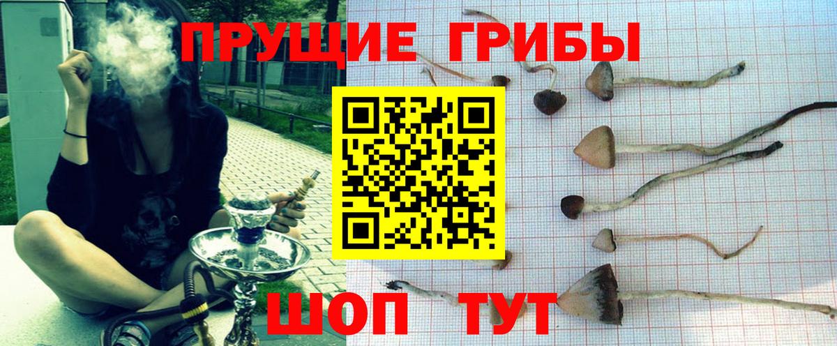 Псилоцибиновые грибы GOLDEN TEACHER  Вход с VPN  Ахтубинск 